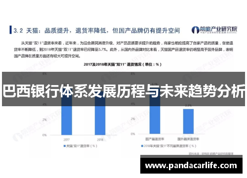 巴西银行体系发展历程与未来趋势分析