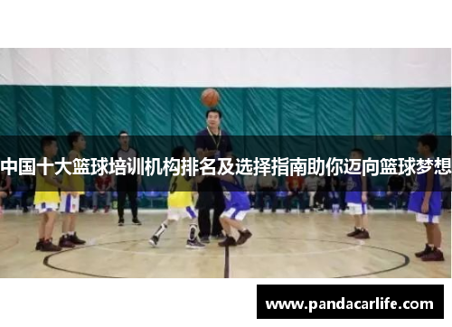 中国十大篮球培训机构排名及选择指南助你迈向篮球梦想