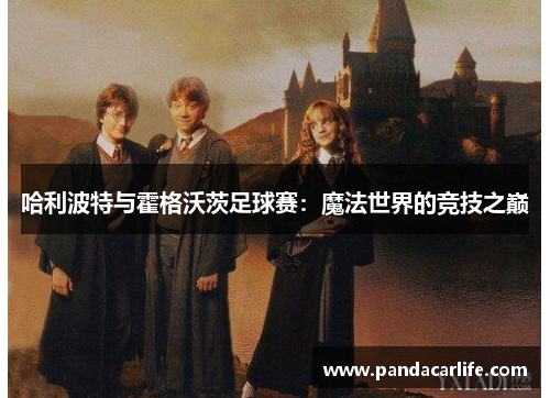 哈利波特与霍格沃茨足球赛：魔法世界的竞技之巅