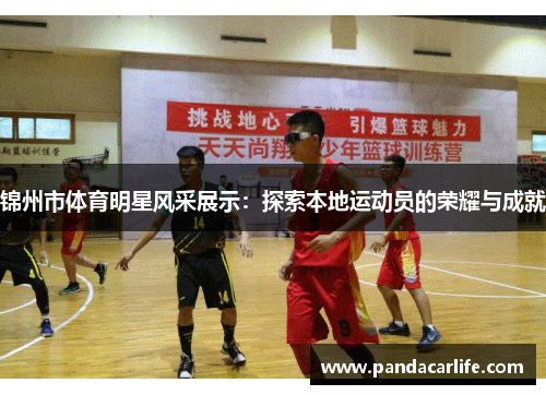 锦州市体育明星风采展示：探索本地运动员的荣耀与成就