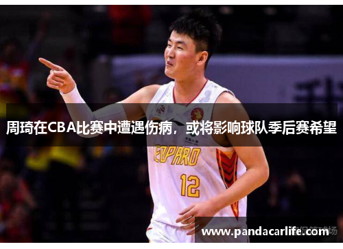 周琦在CBA比赛中遭遇伤病，或将影响球队季后赛希望