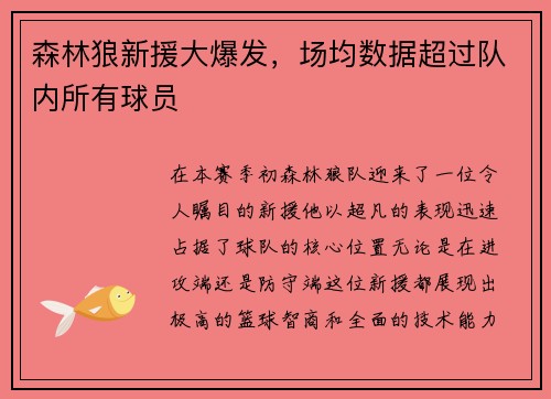 森林狼新援大爆发，场均数据超过队内所有球员