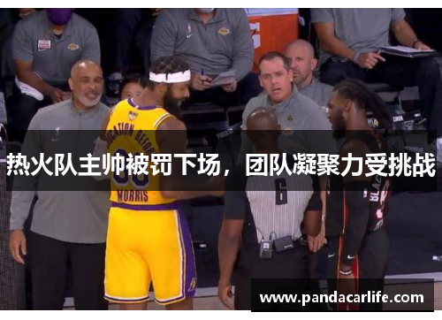 热火队主帅被罚下场，团队凝聚力受挑战