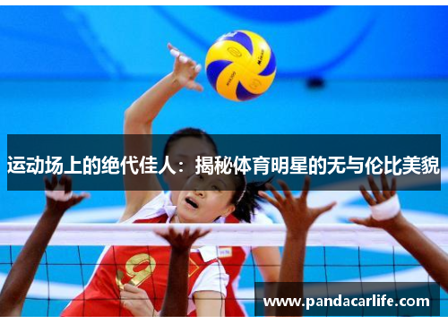 运动场上的绝代佳人：揭秘体育明星的无与伦比美貌