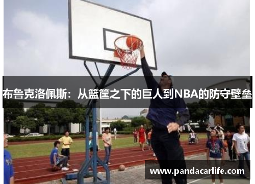 布鲁克洛佩斯：从篮筐之下的巨人到NBA的防守壁垒