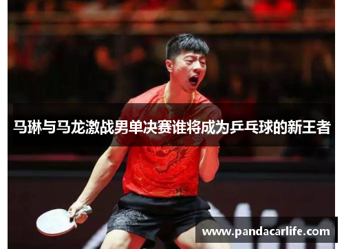 马琳与马龙激战男单决赛谁将成为乒乓球的新王者