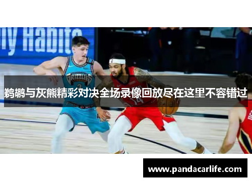 鹈鹕与灰熊精彩对决全场录像回放尽在这里不容错过