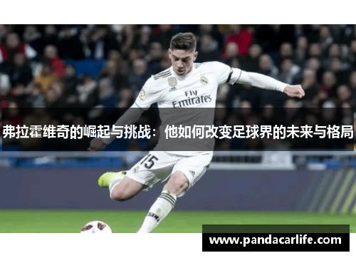 弗拉霍维奇的崛起与挑战：他如何改变足球界的未来与格局