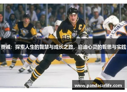 贾诚：探索人生的智慧与成长之路，启迪心灵的哲思与实践