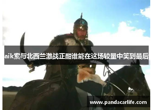 aik索与北西兰激战正酣谁能在这场较量中笑到最后