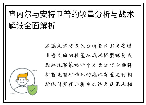 查内尔与安特卫普的较量分析与战术解读全面解析